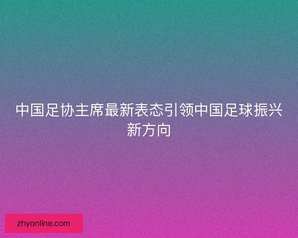 中国足协主席最新表态引领中国足球振兴新方向